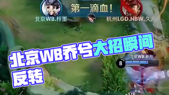 勒沃库森凭 勒沃库森凭